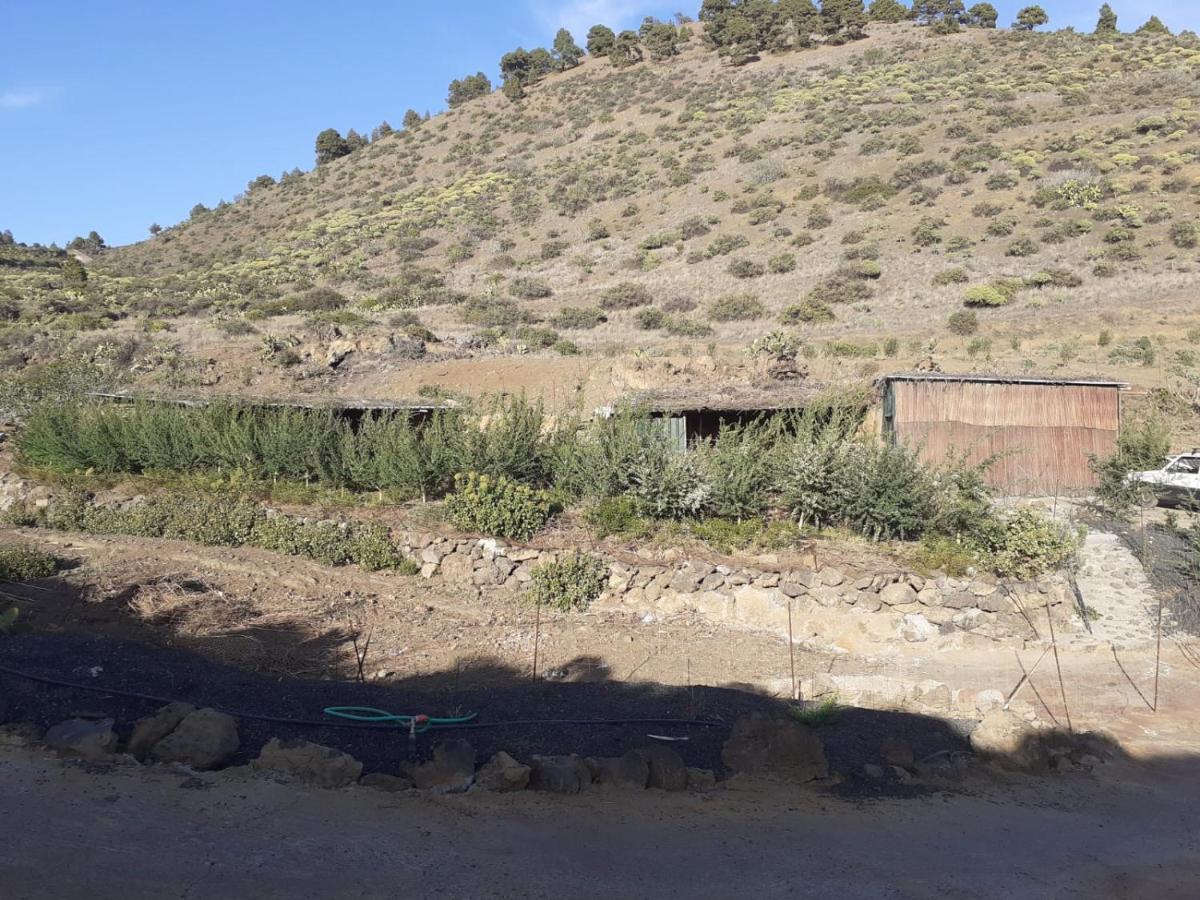 Casa Rural Los Santillos El Pinar (El Hierro) Exterior foto